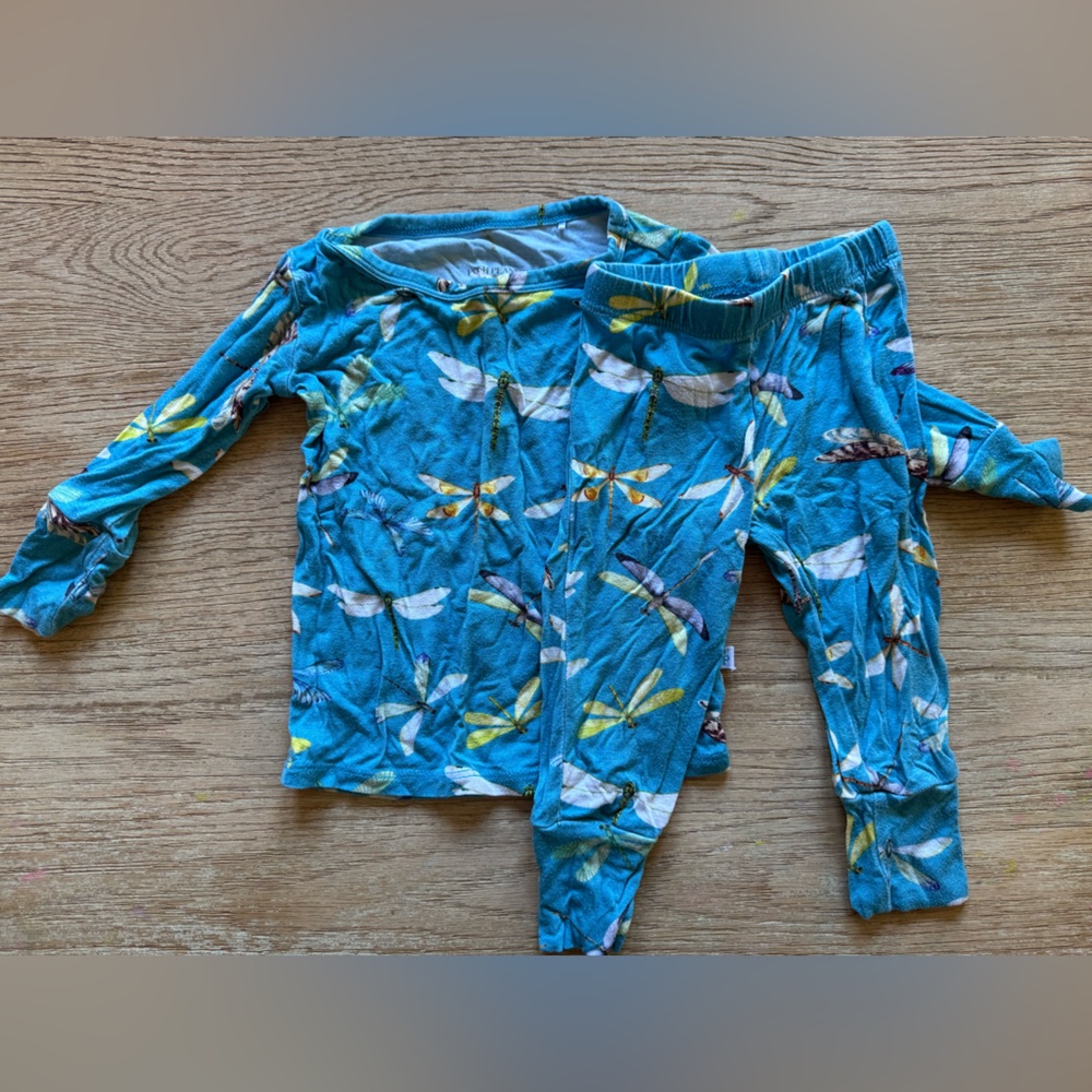 Posh peanut dragonfly pjs